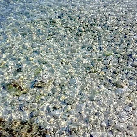 Kwatera prywatna Adriatic Pearl *