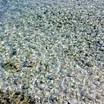 Ostanak kod kuće Adriatic Pearl *